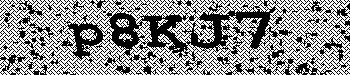 An error has occurred while getting captcha image
